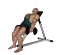 Dumbbell Curl - Flexor Incline